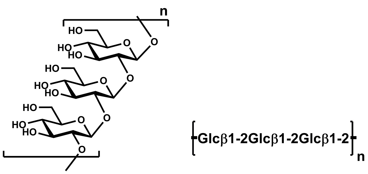 PLUS β Glucan 450g (15g×30) Beta-Glucan Assay Kit Yeast - Measurement of beta glucan