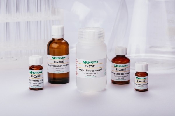 alpha-Fucosidase Thermostable Thermotoga maritima E-FUCTM
