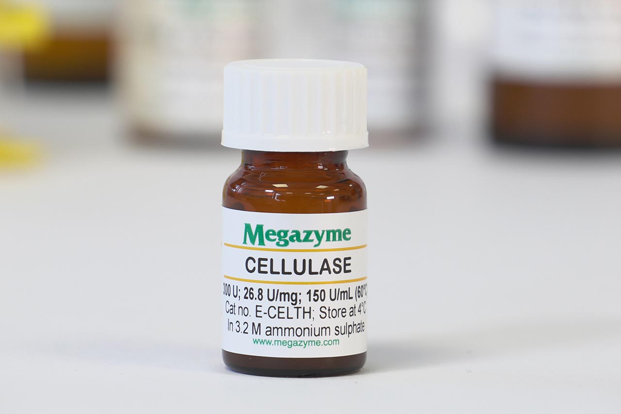 Cellulase endo14betaDglucanase Thermobifida halotolerans Megazyme