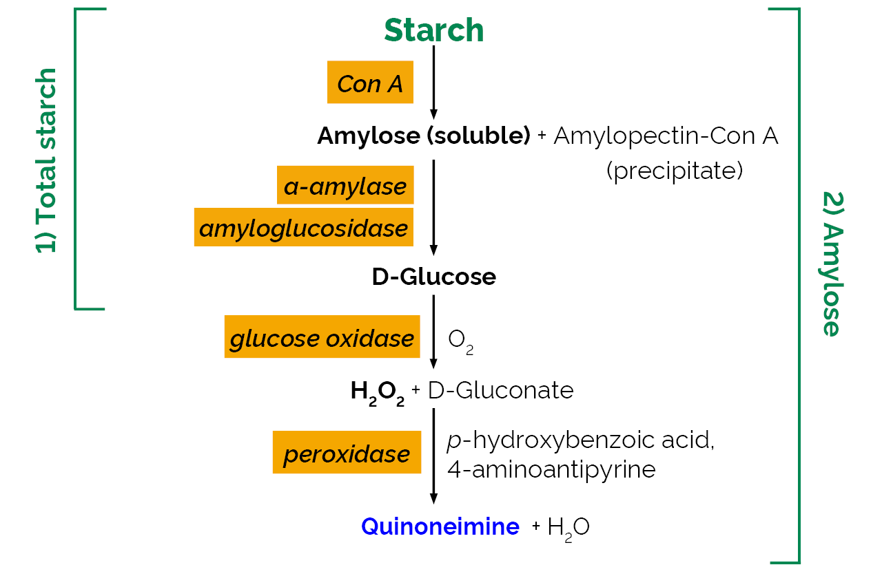 The Principles of Starch Gelatinization and Retrogradation, image size:1280x853