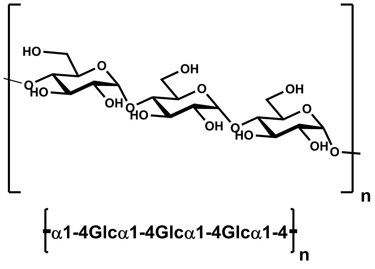Illustrated Glossary of Organic Chemistry - Amylose, image size:1280x921