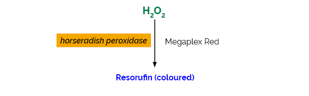 Scheme-K-MRH2O2 MRH2O2 Megazyme