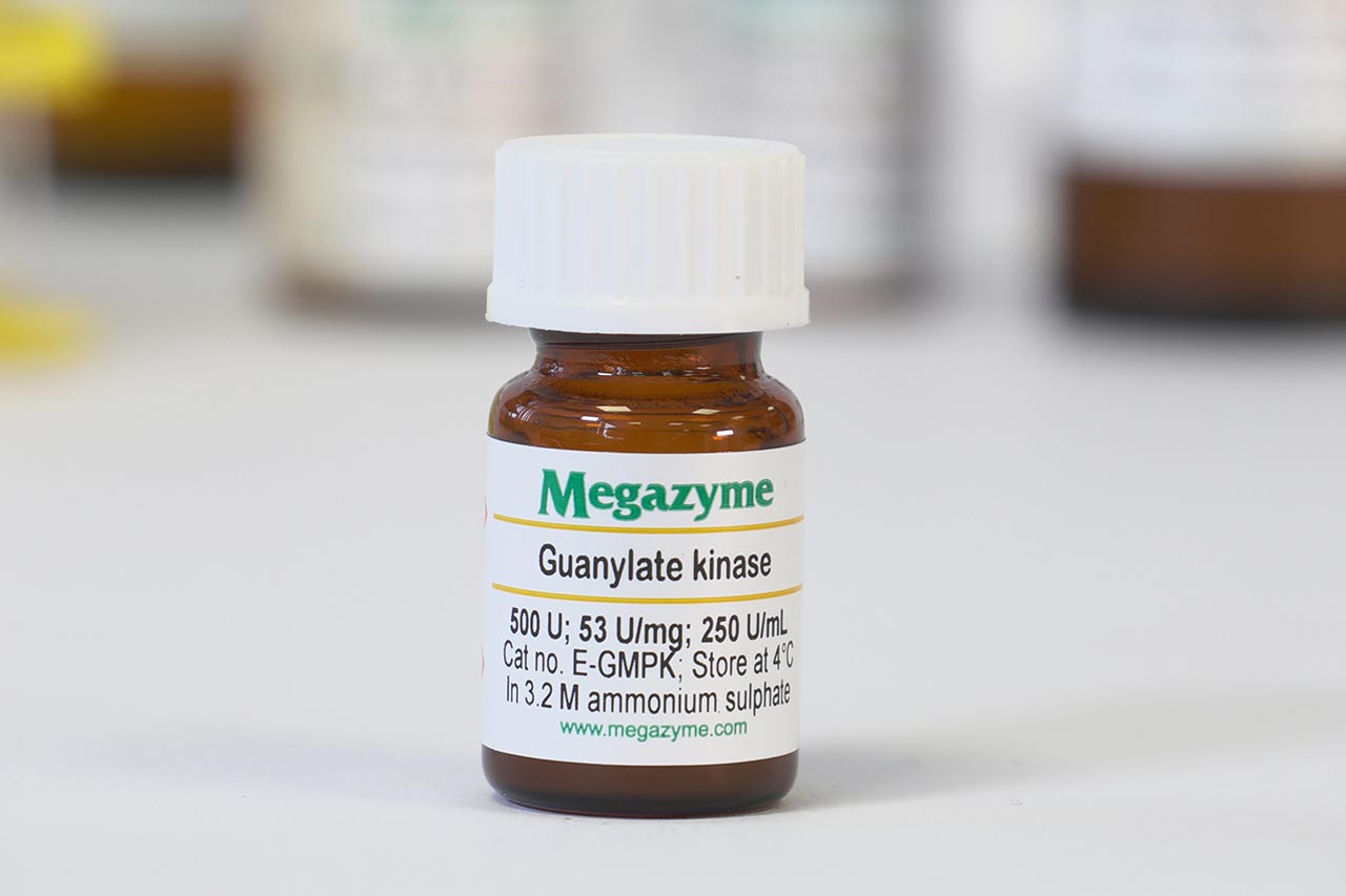 kyanページ Guanylate kinase prokaryote Enzyme | Megazyme