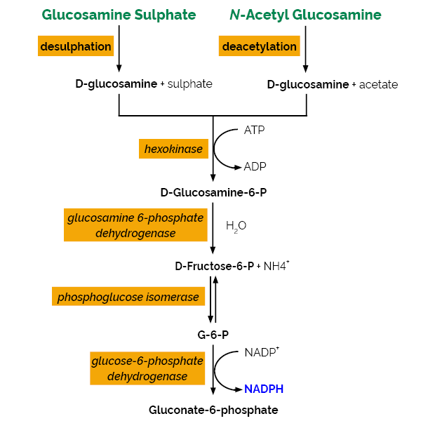 Scheme-K-GAMINE GAMINE Megazyme