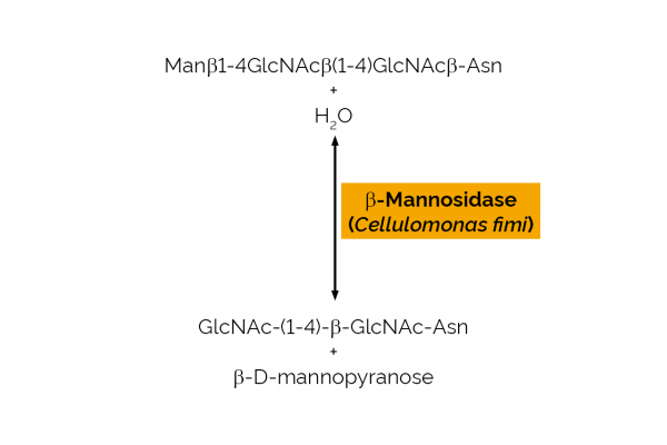 betaMannosidase Cellulomonas Fimi Enzyme Megazyme