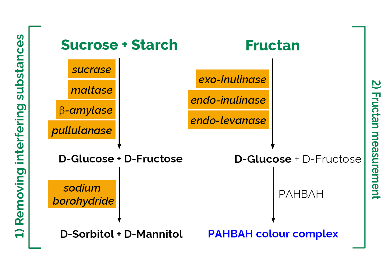 Fructan Assay Kit, 60 OFF www.congressintercultural.eu